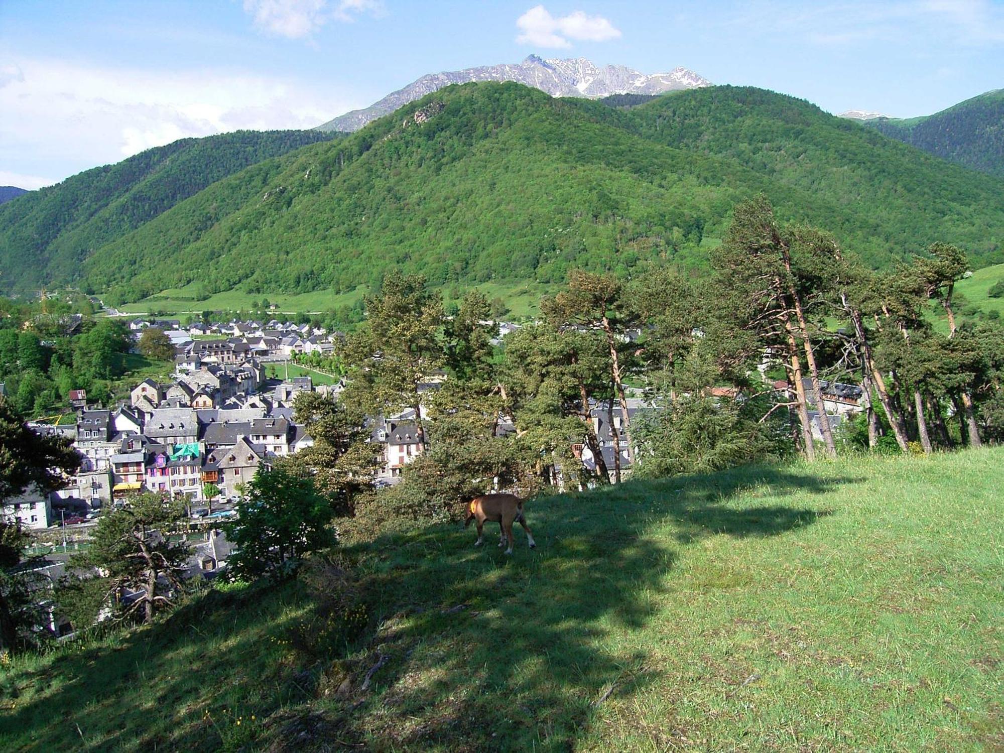 Grange Renovee En Gite/Maison/Chalet อาโฮว์ ภายนอก รูปภาพ